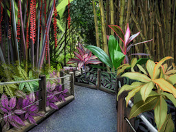 Hawaiian Tropical Botanical Gardens