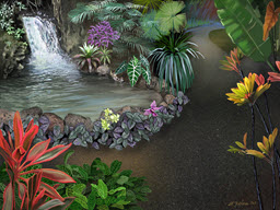 Tropical Waterfall Pond