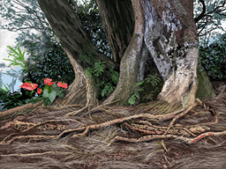 Tropical Nuuanu Pali Tree