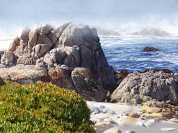 Fog and Rocks Pacific Grove, CA
