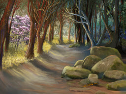 Spring Forest Walk