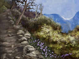 Yosemite Inspired